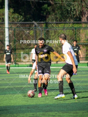 Detalhes da foto #8884172