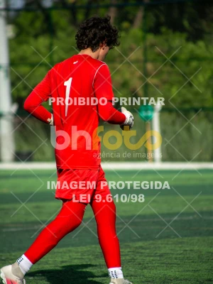 Detalhes da foto #2569528
