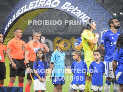 Detalhes da foto #73128