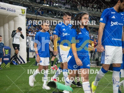 Detalhes da foto #98480