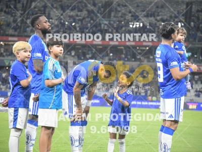 Detalhes da foto #84203