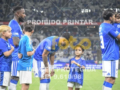 Detalhes da foto #17310