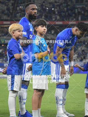 Detalhes da foto #42478