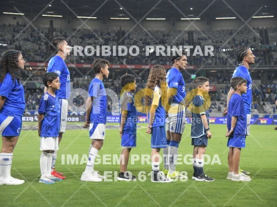 Detalhes da foto #61866