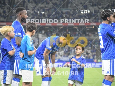 Detalhes da foto #34943