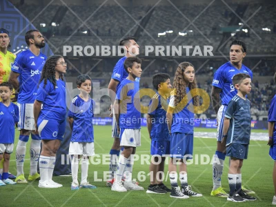 Detalhes da foto #69547