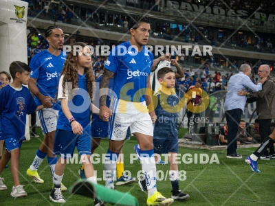 Detalhes da foto #89091