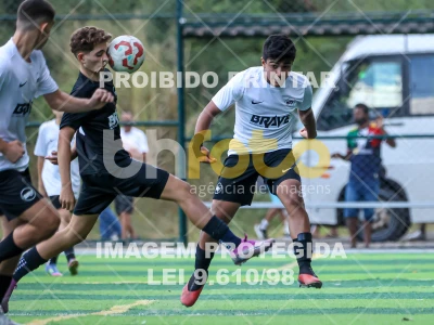 Detalhes da foto #52830