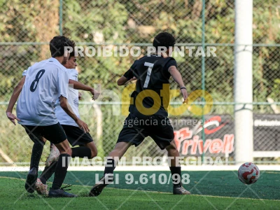 Detalhes da foto #92380