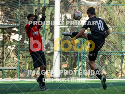Detalhes da foto #60848