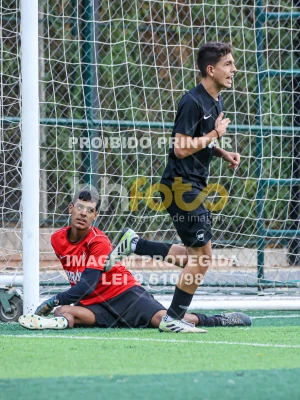 Detalhes da foto #56812