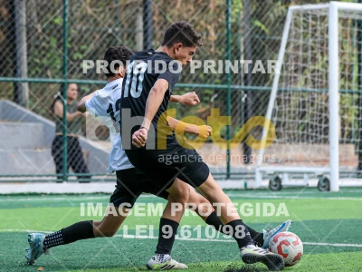 Detalhes da foto #19098