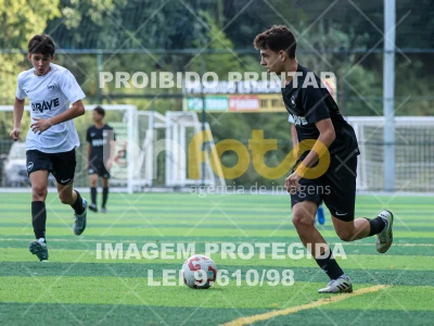 Detalhes da foto #84771