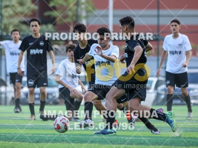 Detalhes da foto #65375