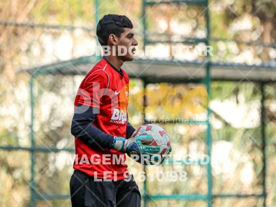 Detalhes da foto #41983