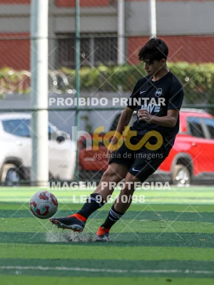 Detalhes da foto #85720