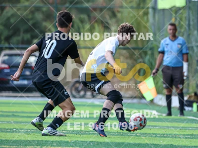Detalhes da foto #83111