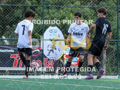 Detalhes da foto #44008