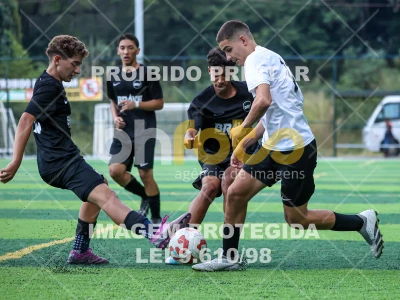 Detalhes da foto #91845