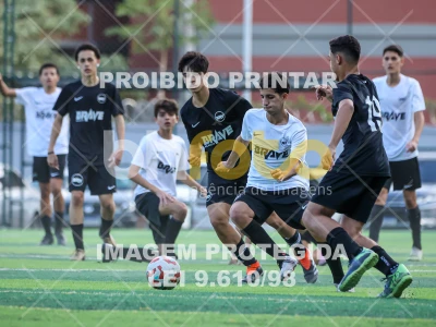Detalhes da foto #84725