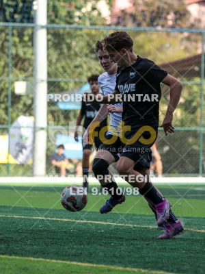 Detalhes da foto #81119