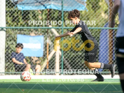 Detalhes da foto #98654