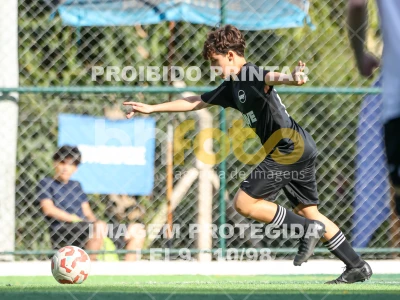 Detalhes da foto #95533
