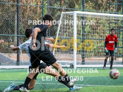 Detalhes da foto #45503