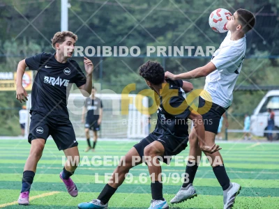 Detalhes da foto #43202