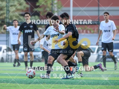 Detalhes da foto #91230