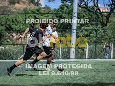 Detalhes da foto #1505654