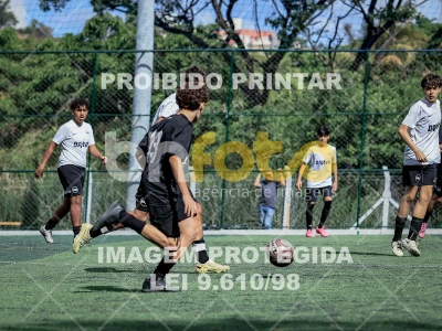Detalhes da foto #2623117