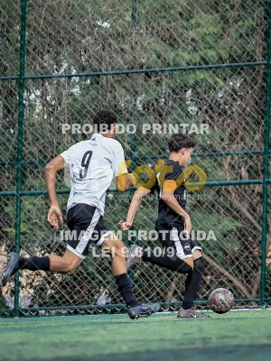 Detalhes da foto #2152658