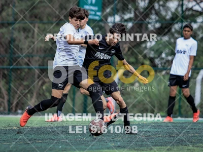 Detalhes da foto #1305315