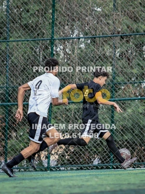 Detalhes da foto #2178056