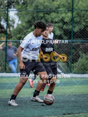 Detalhes da foto #4437825
