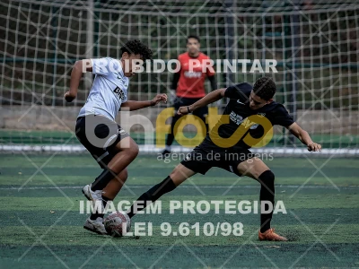 Detalhes da foto #4684118