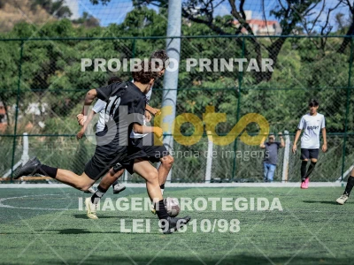 Detalhes da foto #1020047