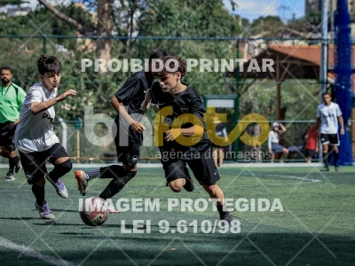 Detalhes da foto #3647134
