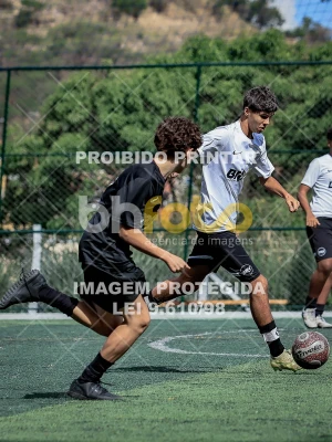 Detalhes da foto #2550167