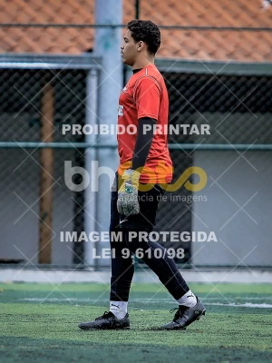 Detalhes da foto #4427642