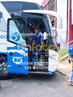 Detalhes da foto #3096173
