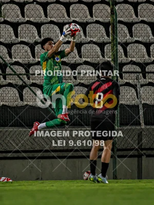 Detalhes da foto #1135699