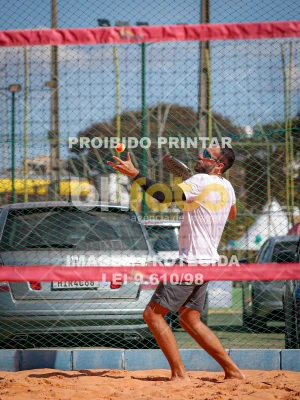 Detalhes da foto #3155132