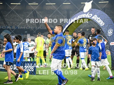 Detalhes da foto #20124