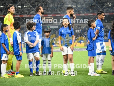 Detalhes da foto #85775