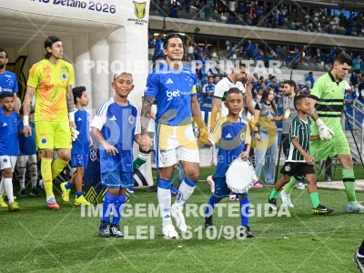 Detalhes da foto #12525