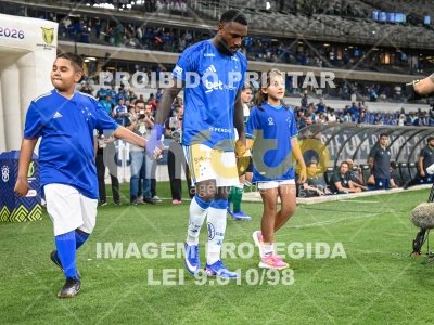 Detalhes da foto #10210