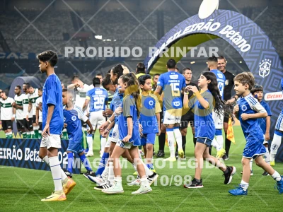 Detalhes da foto #57493