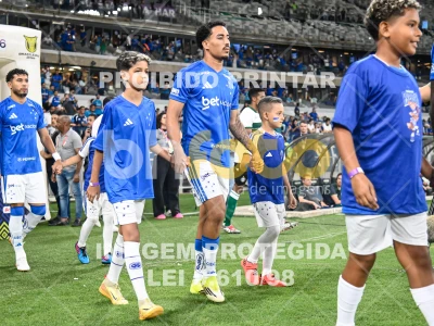 Detalhes da foto #77990